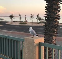 Shark Bay Seafront Apartments - Accommodation Port Hedland