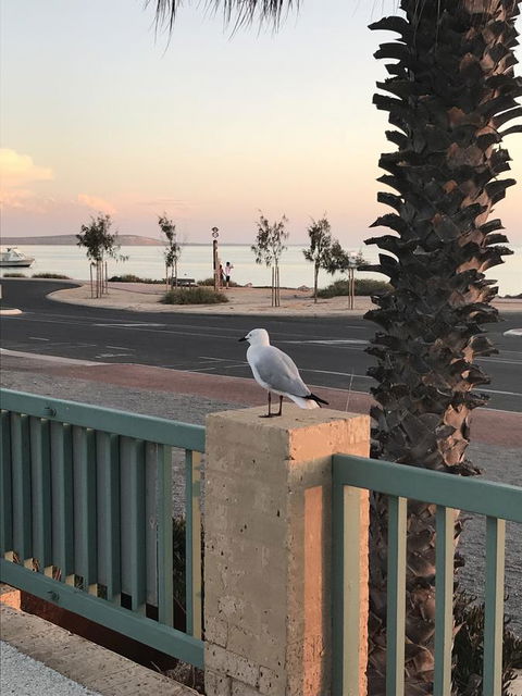 Shark Bay Seafront Apartments - Accommodation Port Hedland 0