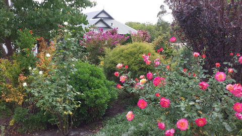 Glenelg On King Bed & Breakfast - Accommodation Port Hedland 15