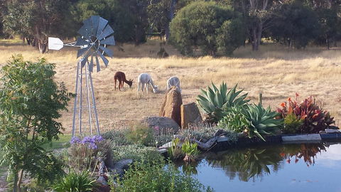 Glenelg On King Bed & Breakfast - Accommodation Port Hedland 19