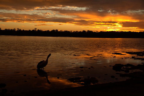 Dungowan Holiday Accommodation - Accommodation Port Hedland 31