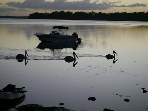 Dungowan Holiday Accommodation - Accommodation Port Hedland 41