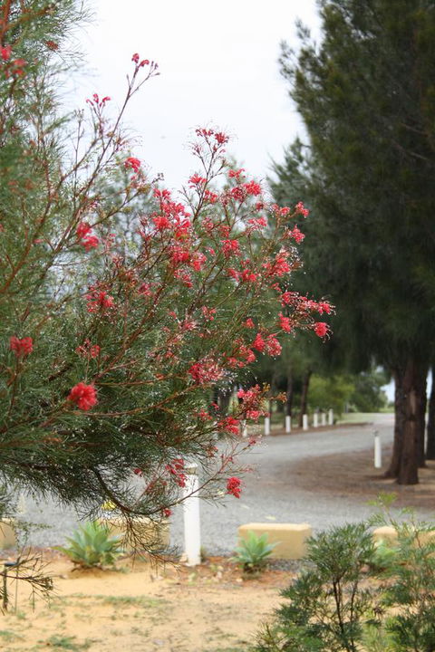 The Heights Bed & Breakfast - Accommodation Port Hedland 0