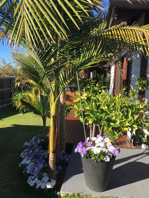 Bella Bali Gardens - Accommodation Port Hedland 23