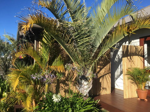 Bella Bali Gardens - Accommodation Port Hedland 7