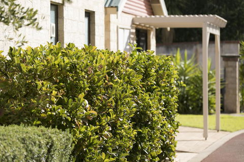 Amalfi Resort - Accommodation Port Hedland 9