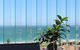 The Gerald Apartment Hotel - thumb 39