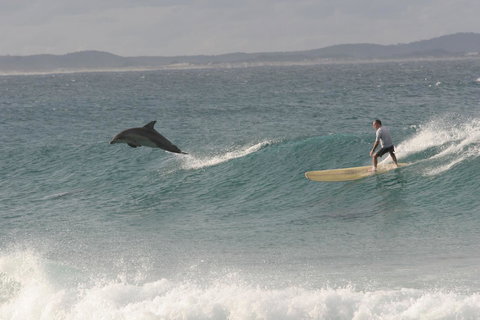 Crescent Head Spa Villa - Accommodation Port Hedland 22