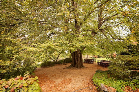 Nesuto Leura Gardens (formerly Waldorf Leura Gardens Resort) - Accommodation Port Hedland 1