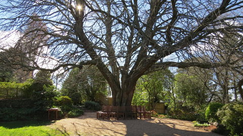 Nesuto Leura Gardens (formerly Waldorf Leura Gardens Resort) - Accommodation Port Hedland 3