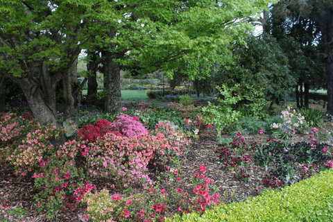 Nesuto Leura Gardens (formerly Waldorf Leura Gardens Resort) - Accommodation Port Hedland 2