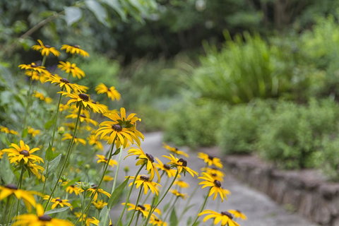 Nesuto Leura Gardens (formerly Waldorf Leura Gardens Resort) - Accommodation Port Hedland 16