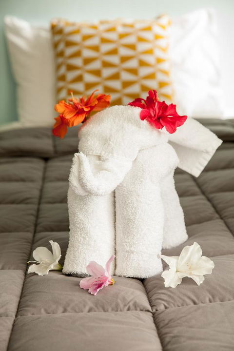 Kempsey Rose Motor Inn - Accommodation Port Hedland 17