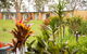 Kempsey Rose Motor Inn - thumb 40