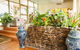 Kempsey Rose Motor Inn - thumb 43