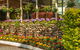 Kempsey Rose Motor Inn - thumb 34
