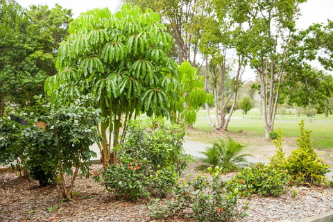 Kempsey Rose Motor Inn - Accommodation Port Hedland 42