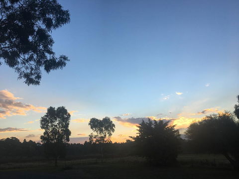 Junee Motor Inn - Accommodation Port Hedland 26