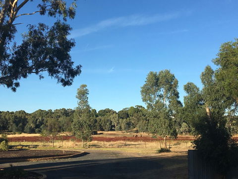 Junee Motor Inn - Accommodation Port Hedland 24