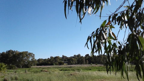 Junee Motor Inn - Accommodation Port Hedland 8