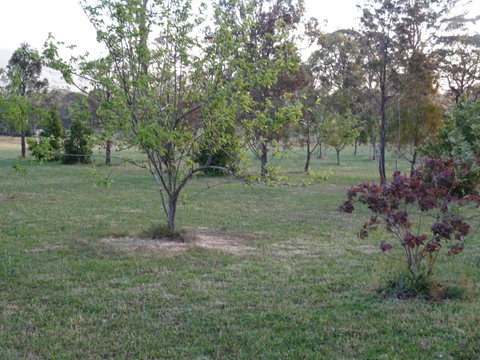 Romanz In The Valley (Luxury B&B) - Accommodation Port Hedland 32