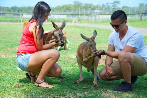 On The Beach Getaway - Accommodation Port Hedland 25