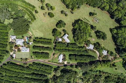 Byron Hinterland Villas - Accommodation Port Hedland 17