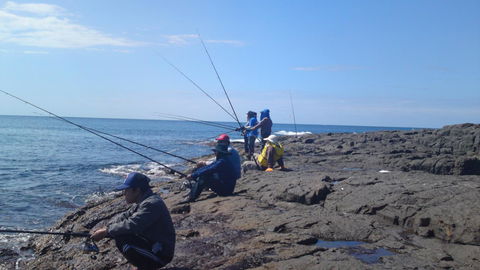 Sweet Spot Shellharbour - Accommodation Port Hedland 13