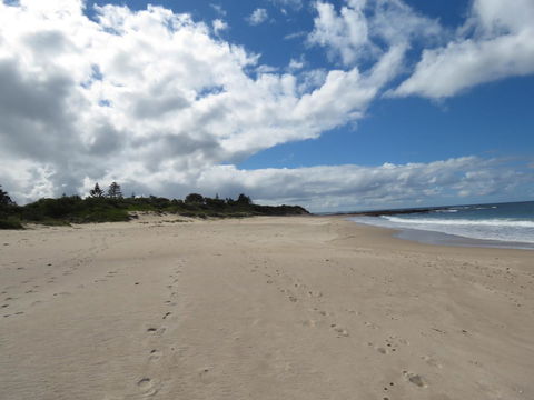 Sweet Spot Shellharbour - Accommodation Port Hedland 15