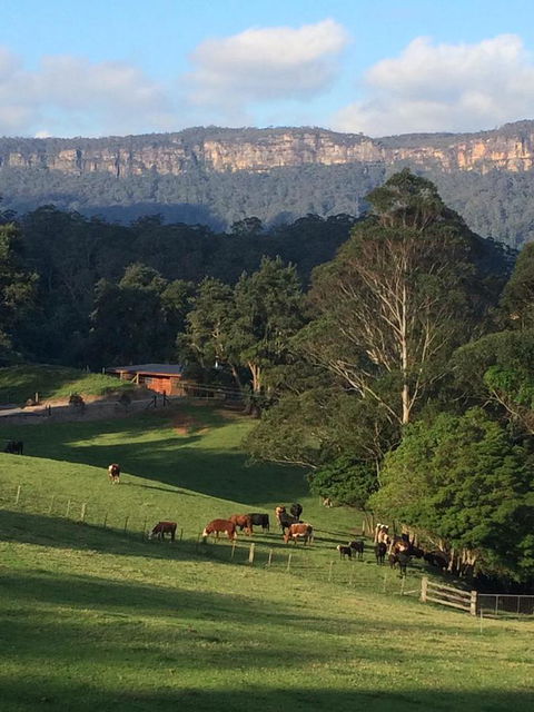 Amaroo Valley Springs - Accommodation Port Hedland 0