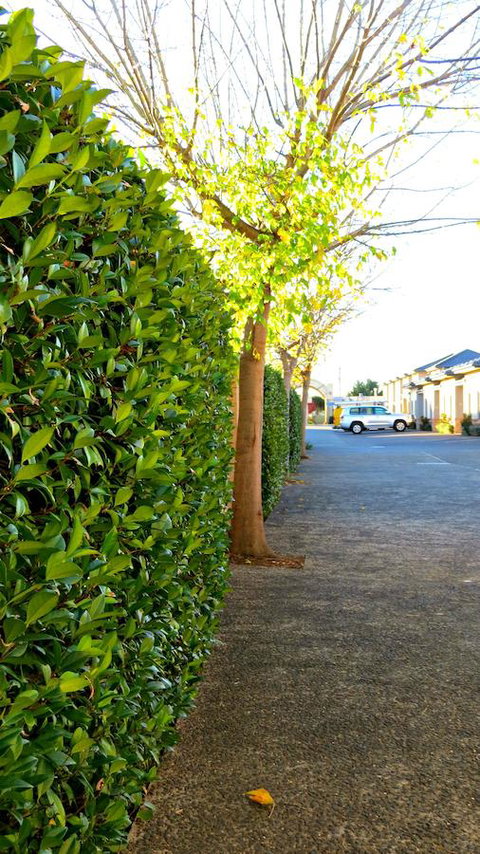 Best Western Plus Goulburn - Accommodation Port Hedland 37