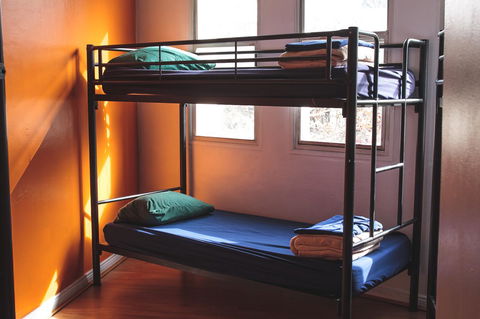 Mad Monkey Kings Cross - Accommodation Port Hedland 29