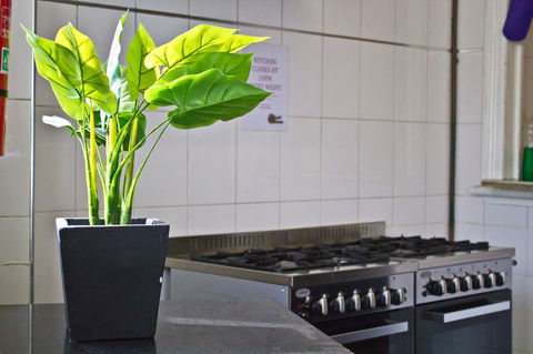 Mad Monkey Kings Cross - Accommodation Port Hedland 19