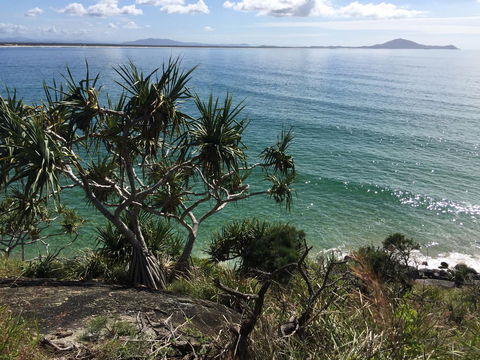 Hat Head Beach Cottage 1 - Accommodation Port Hedland 23