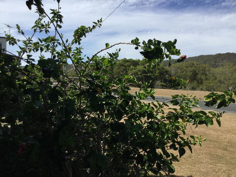 Hat Head Beach Cottage 1 - Accommodation Port Hedland 2