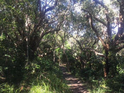 Hat Head Beach Cottage 1 - Accommodation Port Hedland 24