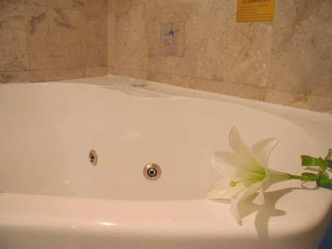 Novotel Sydney Brighton Beach - Accommodation Port Hedland 11