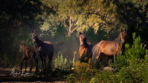 Pound Creek Gallery - Accommodation Port Hedland 18