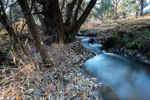 Pound Creek Gallery - Accommodation Port Hedland 26