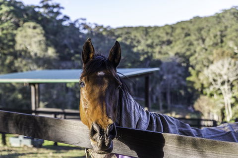 The Outlook Cabana - Accommodation Port Hedland 19