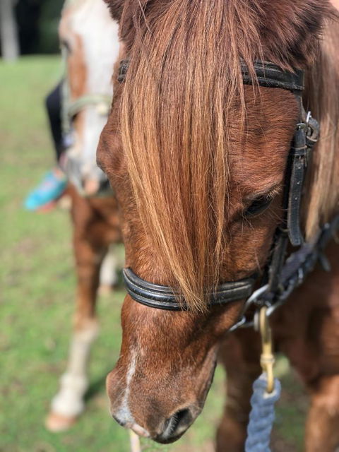 The Outlook Cabana - Accommodation Port Hedland 17