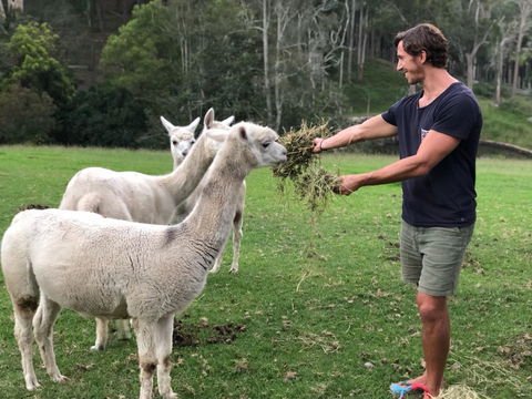 The Outlook Cabana - Accommodation Port Hedland 20