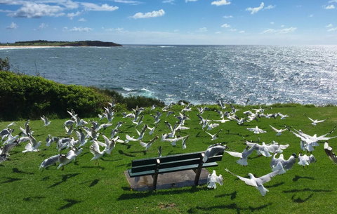Waterview Beach Apartment - Accommodation Port Hedland 25