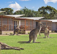 Discovery Parks  Pambula Beach - Accommodation Port Hedland