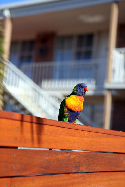 Summerhill Motor Inn - Accommodation Port Hedland 30