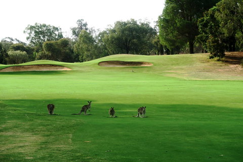 Mulwala Resort - Accommodation Port Hedland 40