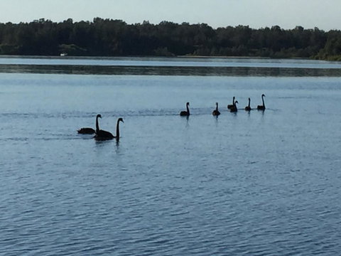 Swan Bay Hideaway - Accommodation Port Hedland 7