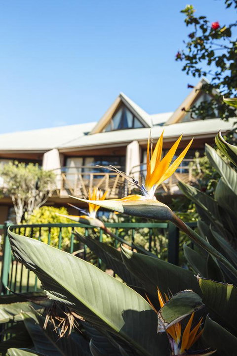 Beach Hotel Resort - Accommodation Port Hedland 36