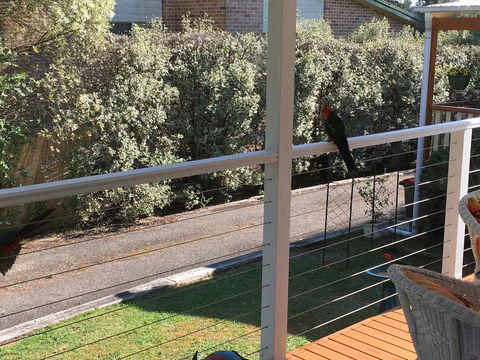 The Best Exotic Magnolia Cottage - Accommodation Port Hedland 15