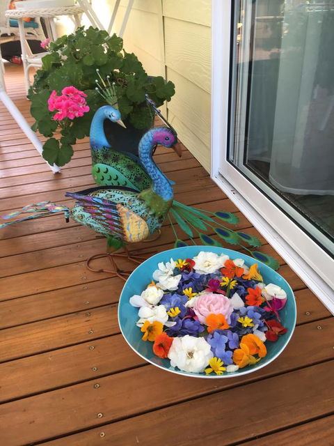 The Best Exotic Magnolia Cottage - Accommodation Port Hedland 8